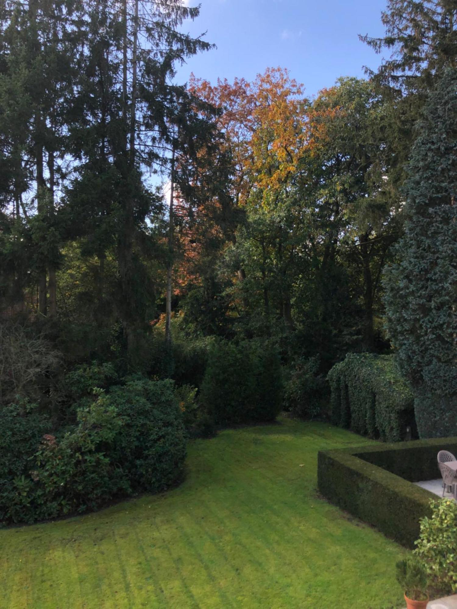 B&B Lobelia-Brugge Exterior foto